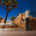 Joshua Tree Mural Wallpaper - room preview 05
