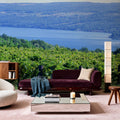 Vineyard Vista Mural Wallpaper - room preview 05