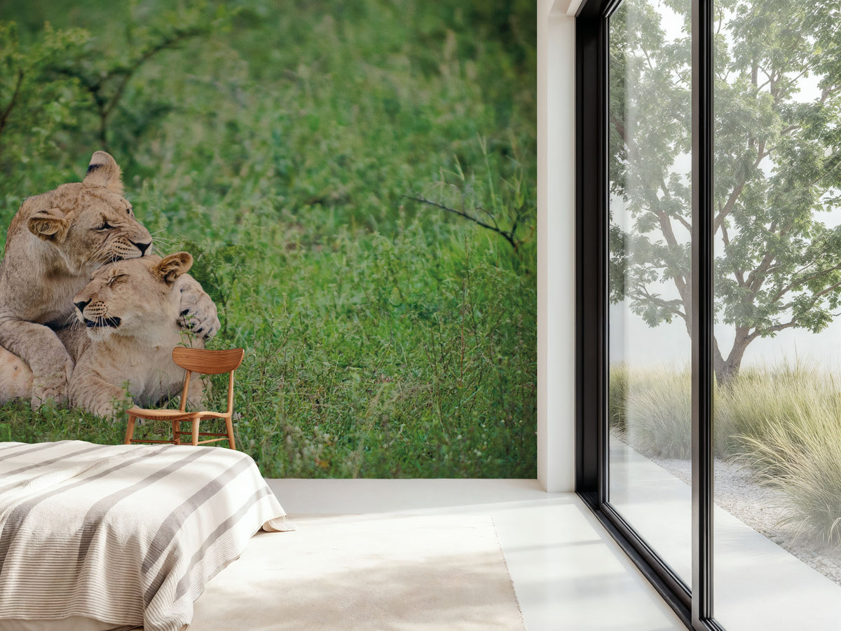 Playful Lions Mural Wallpaper - room preview 05
