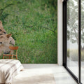 Playful Lions Mural Wallpaper - room preview 05