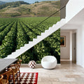 Harvest Rows Mural Wallpaper - room preview 05