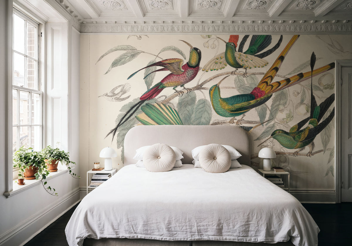 Hummingbird Study Mural Wallpaper - room preview 05