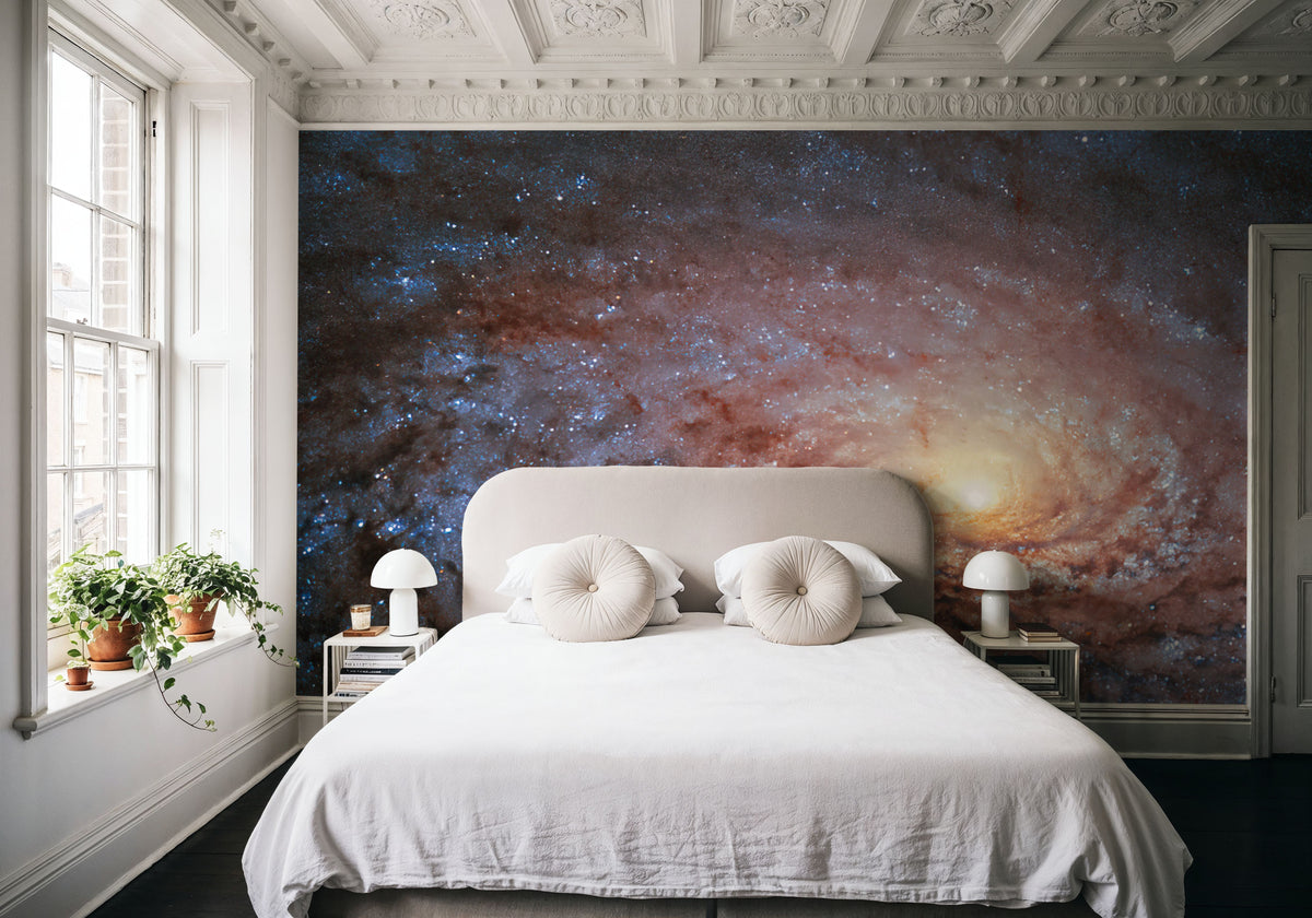 Galactic Sunflower Mural Wallpaper - room preview 05