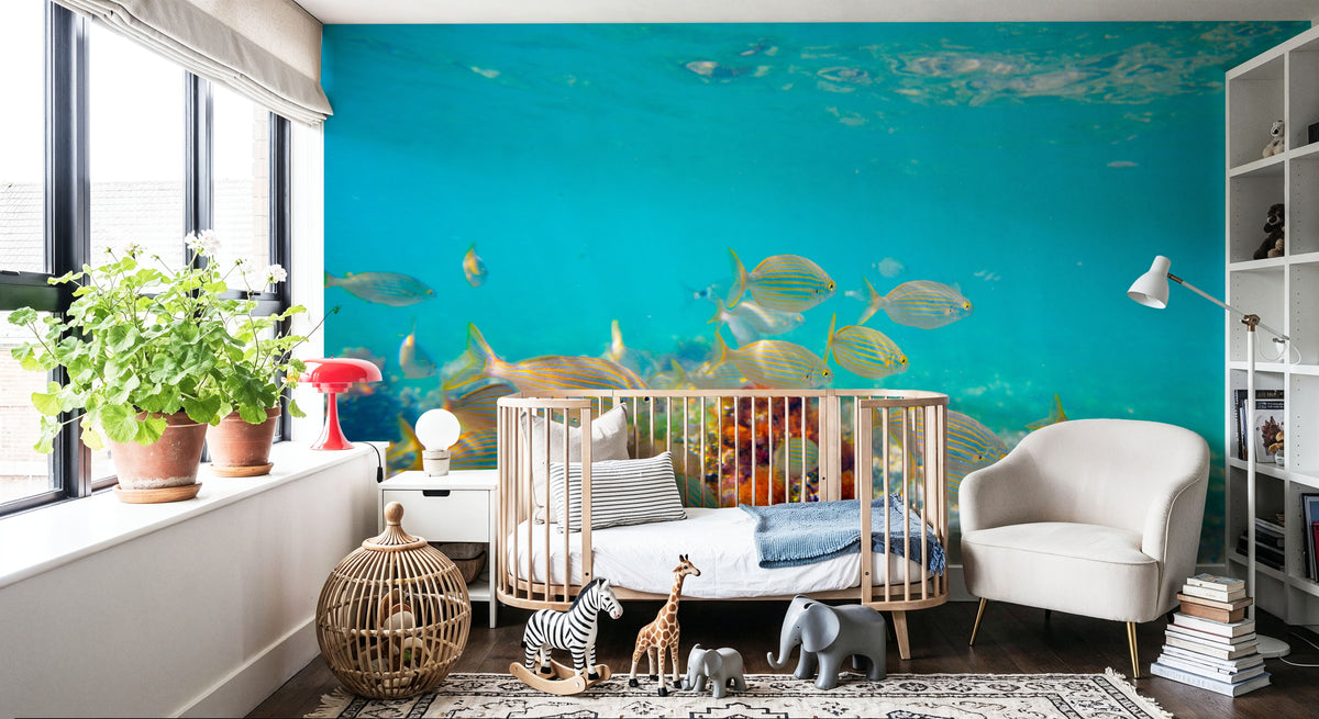 Salema Fish Mural Wallpaper - room preview 05