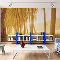 Golden Forest Trail Mural Wallpaper - room preview 05