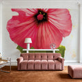 Wonderful Wildflowers III Mural Wallpaper - room preview 05