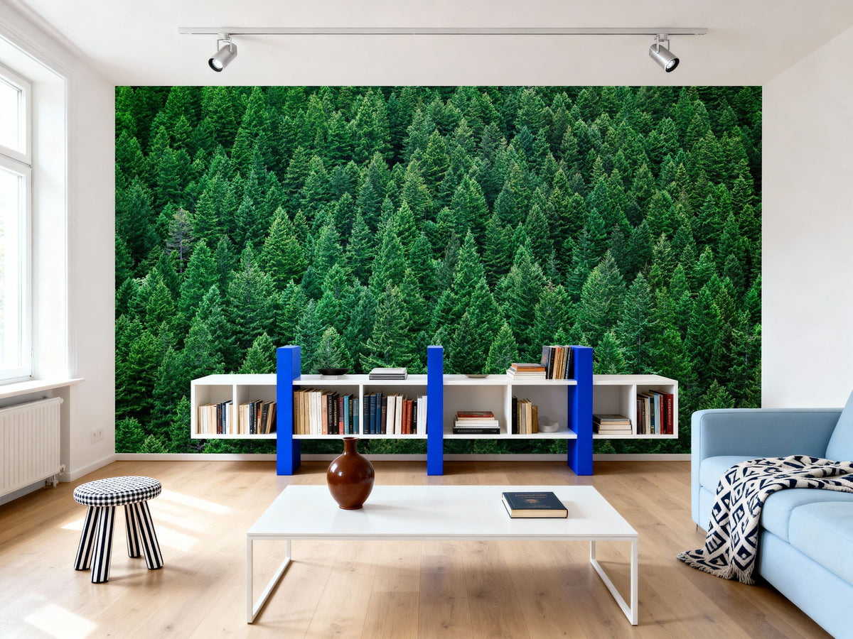Olympic National Forest, Washington State Mural Wallpaper - room preview 05