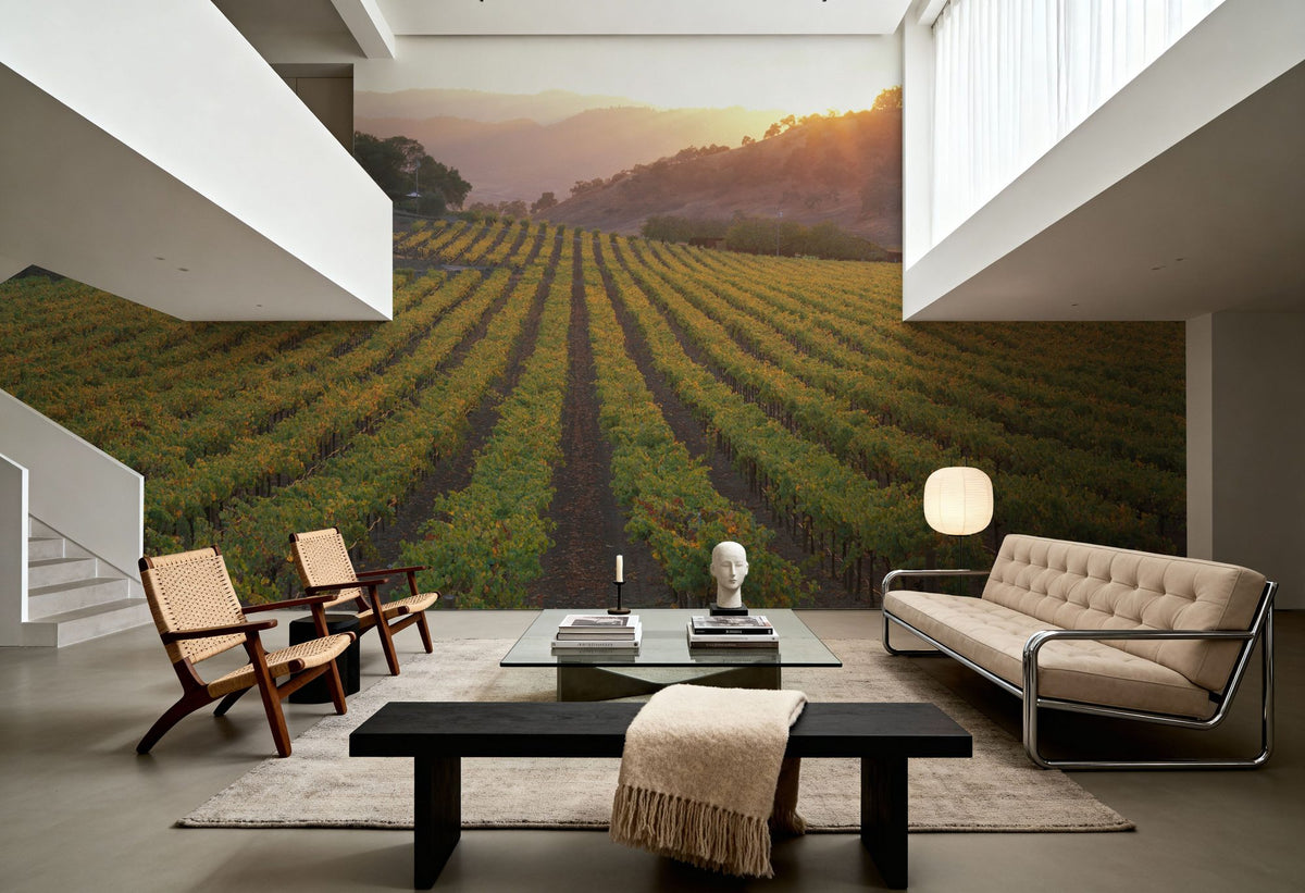 Napa Sunset Mural Wallpaper - room preview 05
