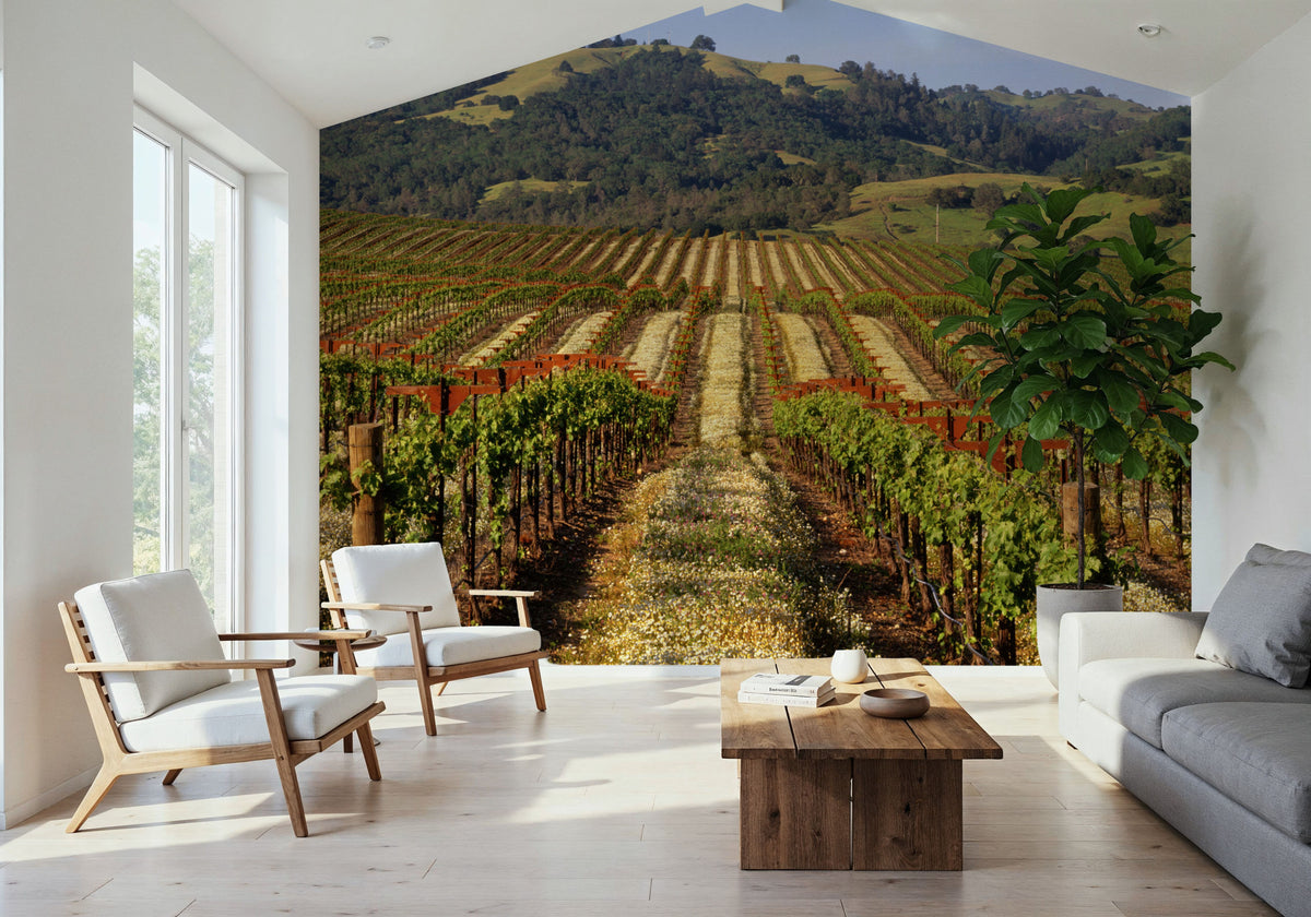 Vineyard Dreams Mural Wallpaper - room preview 05