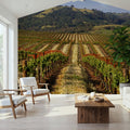 Vineyard Dreams Mural Wallpaper - room preview 05