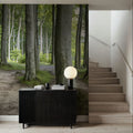 Jasmund Trails Mural Wallpaper - room preview 05