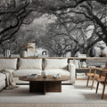 Oak Alley Mural Wallpaper - room preview 05