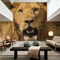 Lion Mural Wallpaper - room preview 05