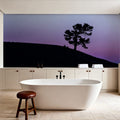 Limber Pine BW Mural Wallpaper - Blue Tone - room preview 05