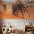 Elephant Race Mural Wallpaper - room preview 05