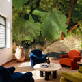 Napa Chardonnay Grapes Mural Wallpaper - room preview 05