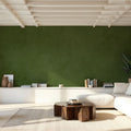 Subtle Plaster Wall, Dill Green Mural Wallpaper - room preview 05