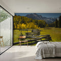 Mountain Meadow Path Mural Wallpaper - room preview 05