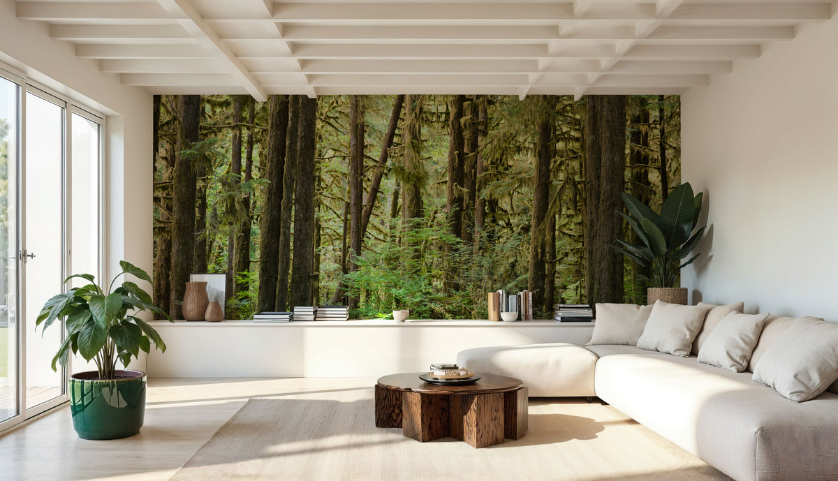 Bright Quinault Rainforest Mural Wallpaper - room preview 05