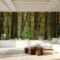 Bright Quinault Rainforest Mural Wallpaper - room preview 05