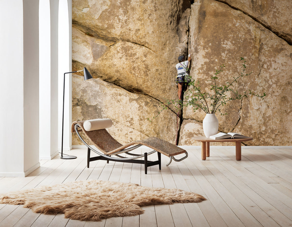 Desert Ascent Mural Wallpaper - room preview 05