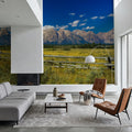 Grand Teton Range Field Mural Wallpaper - room preview 05
