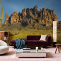 Superstition Mountains Mural Wallpaper - room preview 05