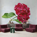 Bright Red Hydrangea Mural Wallpaper - room preview 05