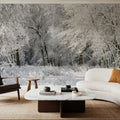 Frost-Laden Forest Mural Wallpaper - room preview 05