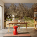 Blooming Almond Grove Mural Wallpaper - room preview 05