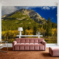 Grotto Mountain Mural Wallpaper - room preview 05