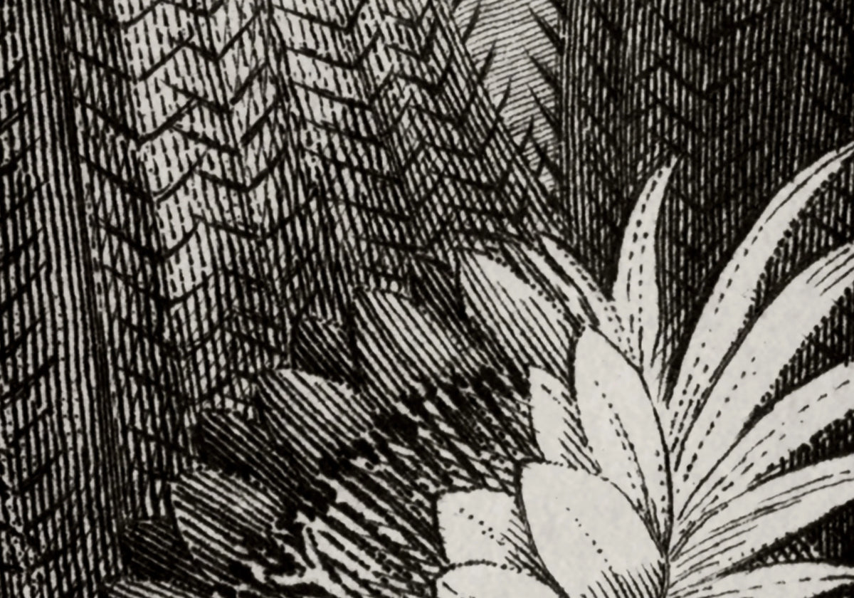 Cactus Garden Mural Wallpaper - room preview 05