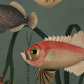 Aquatic Life, Oxygen Mural Wallpaper - room preview 05
