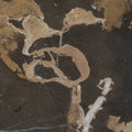 Marble Stone, Brown Mural Wallpaper - room preview 05