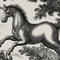 Fairy Tale Castle, Graphite Mural Wallpaper - room preview 05