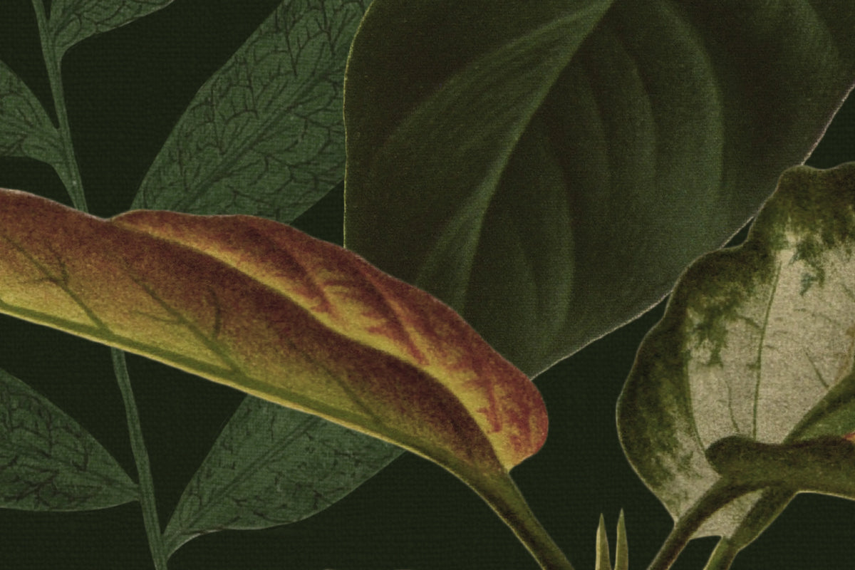 Mischievous Jungle, Lush Mural Wallpaper - room preview 05