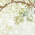 Spring Tree Mural Wallpaper - room preview 05