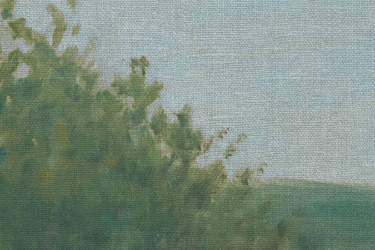 Poppy Landscape, Summer Mural Wallpaper - room preview 05
