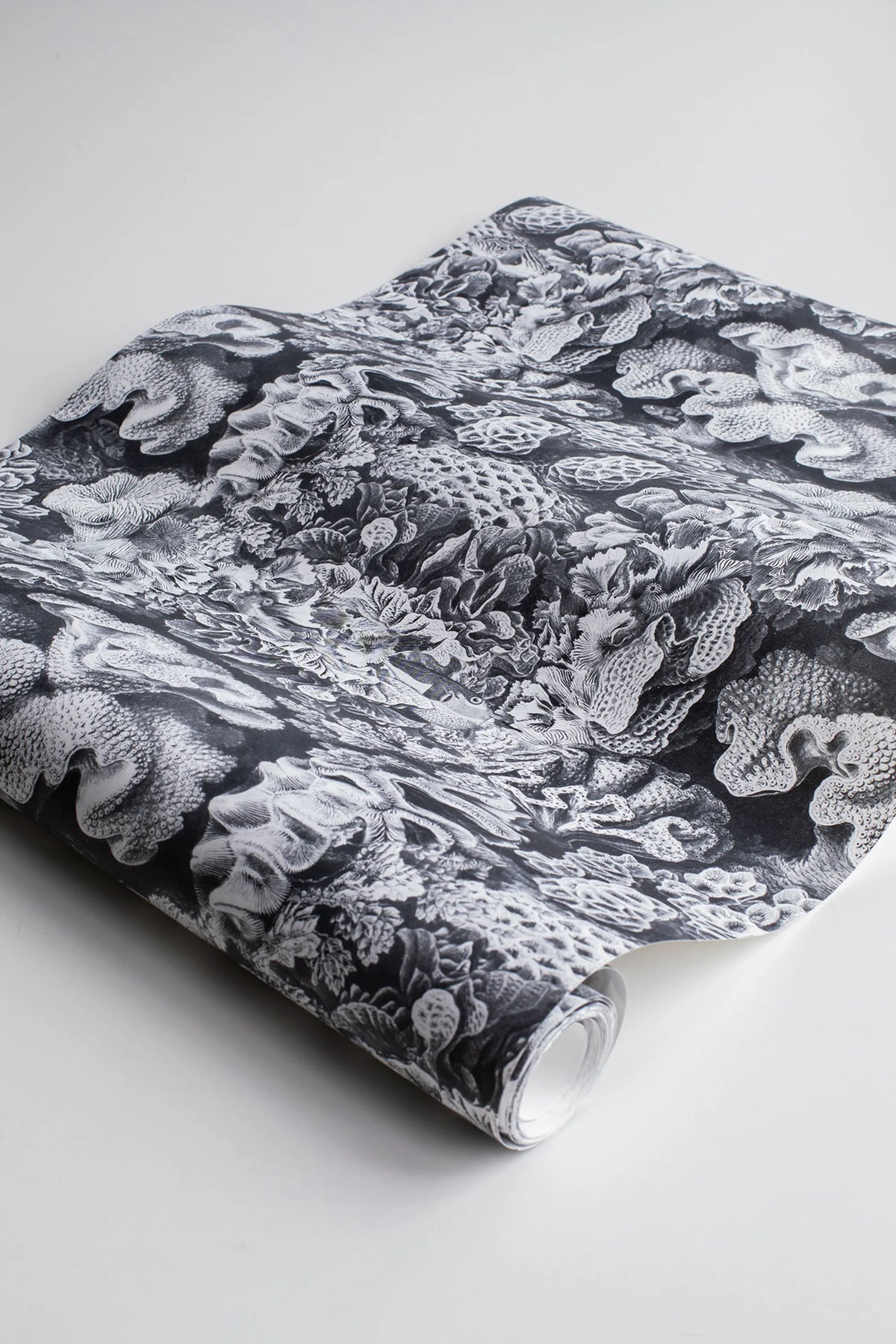 Aquila, Cloud Mural Wallpaper - room preview 05