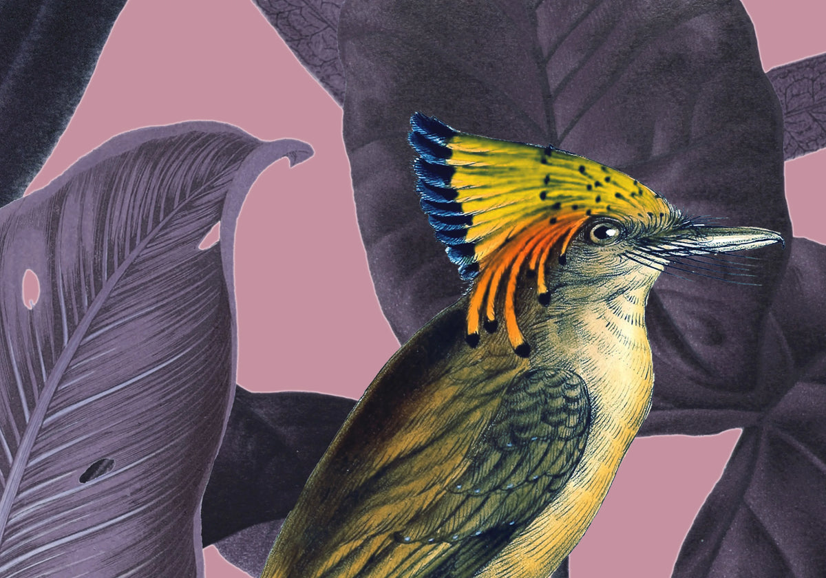 Yellow Bird, Dusk Mural Wallpaper - room preview 05