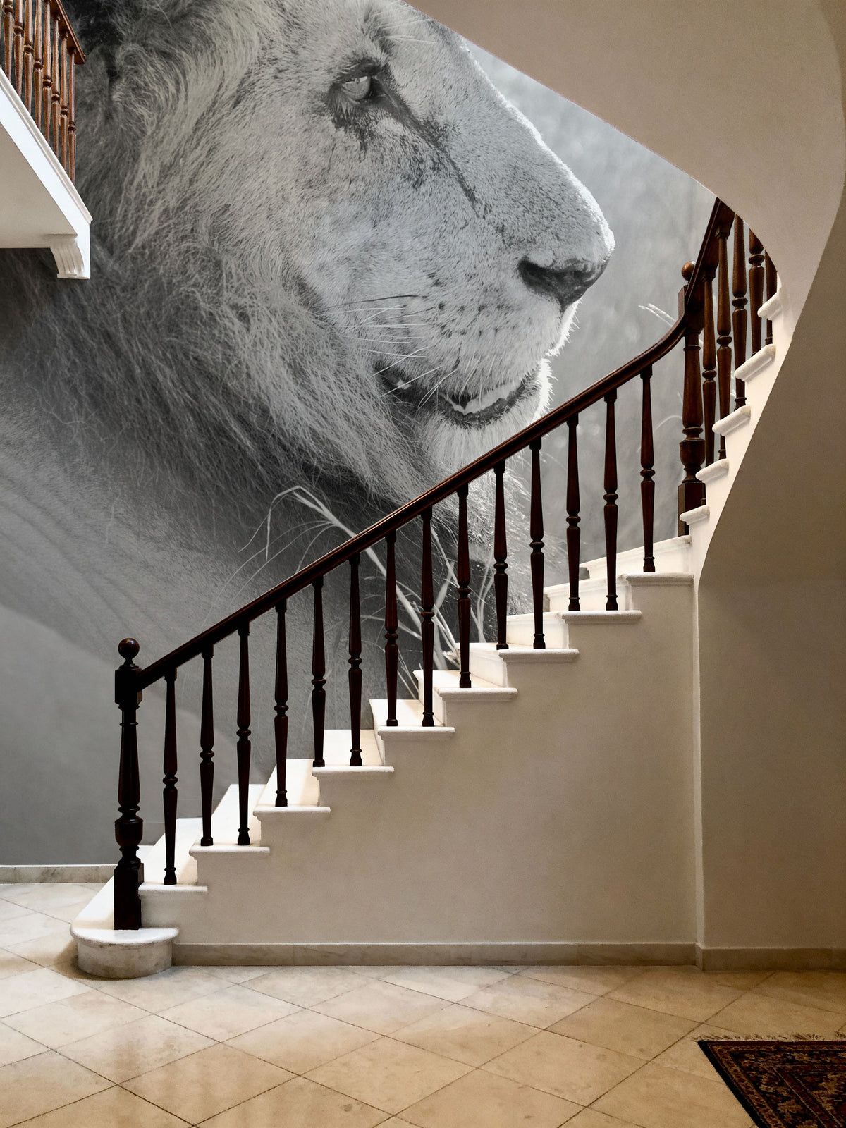 Old Lion BW Mural Wallpaper - room preview 06