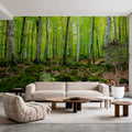 Intense Birch Wood Mural Wallpaper - room preview 06
