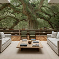 Angel Oak Tree Mural Wallpaper - room preview 06