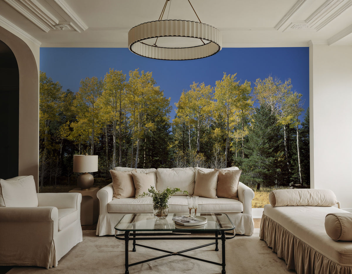 Autumn Forest Glow Mural Wallpaper - room preview 06