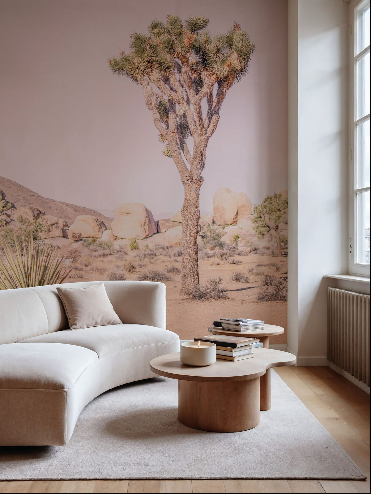 Joshua Tree Study II Mural Wallpaper - room preview 06