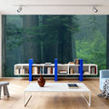 Misty Woodland Heights Mural Wallpaper - room preview 06