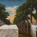 Greetings From Royal Palms Mural Wallpaper - room preview 06