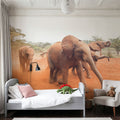 Elephant Race Mural Wallpaper - room preview 06