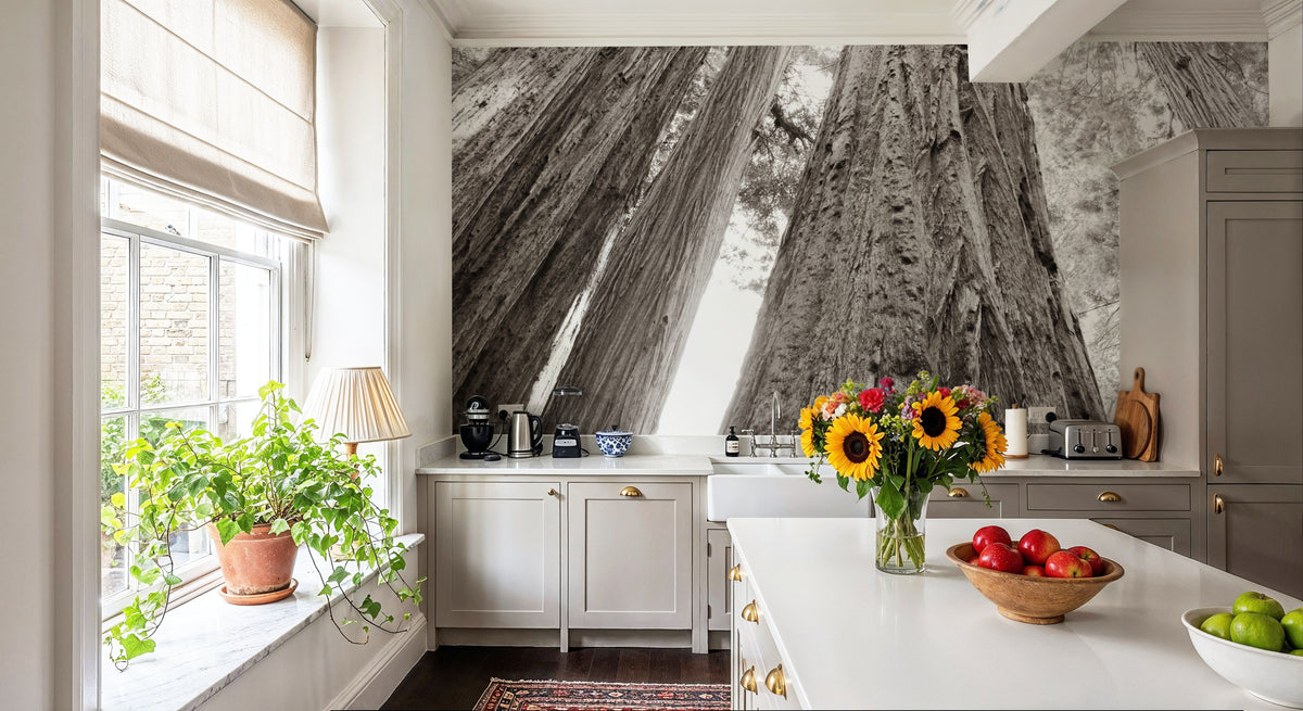 Ancient Redwood Forest Mural Wallpaper - room preview 06