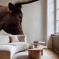 Longhorn Sunset Graze Sepia Mural Wallpaper - room preview 06